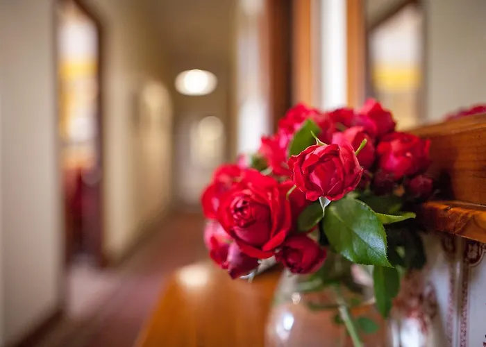 Mudgee Homestead Guesthouse