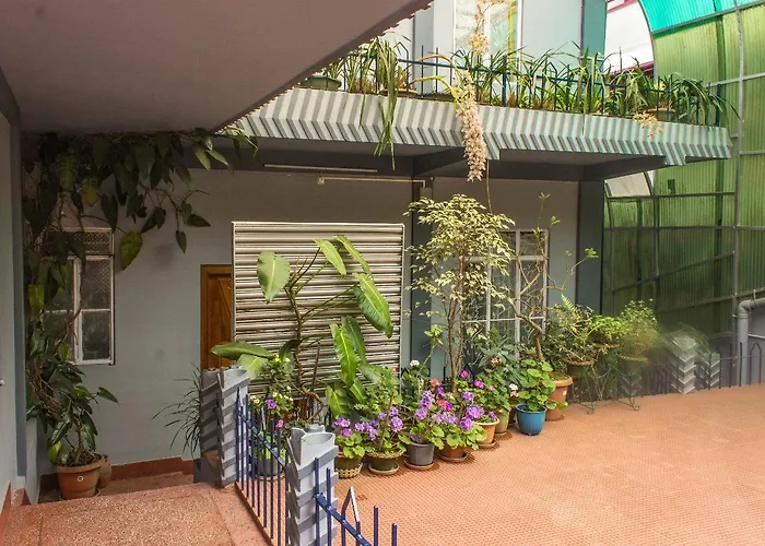 Dog friendly hotels Latei Ville Inn