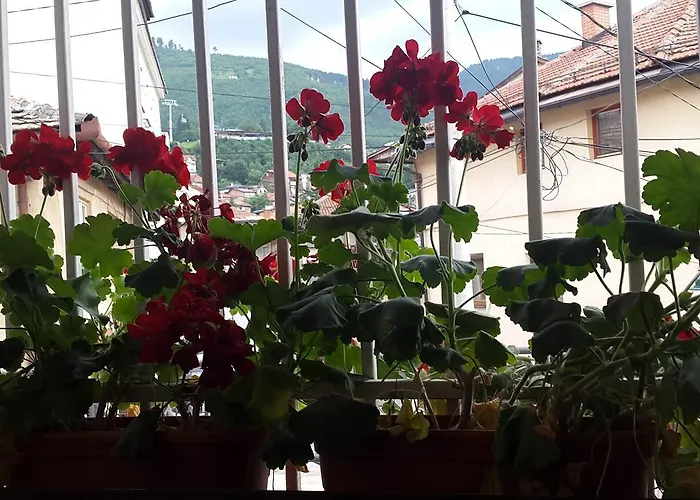 Little Paradise