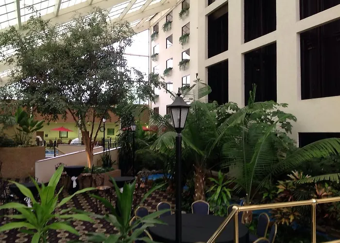 Wyndham Garden Amarillo