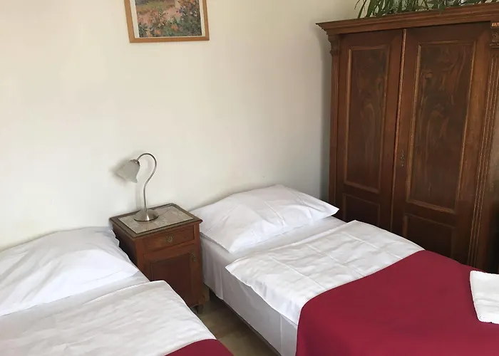 Hotel que admite mascotas: Hostel Rosemary