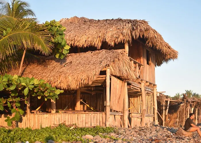 Pet Friendly hotel: Pelicano Surf Camp