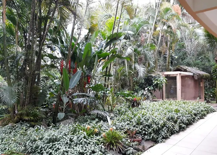 Amarilis Flat Service