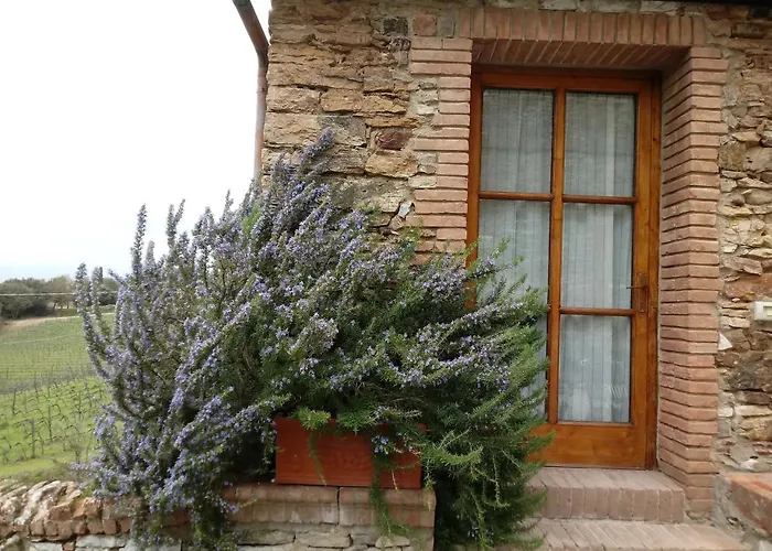 Hotel adatto agli animali: Agriturismo Villa Buoninsegna