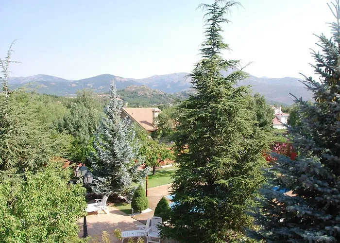  B&B Concha