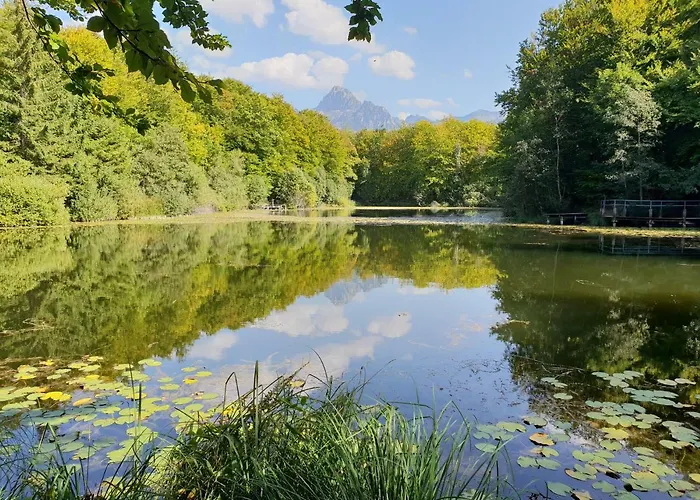 Entre Lac Et Montagnes