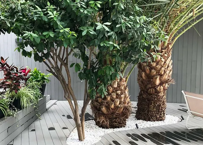 Calypso Boutique Apartments - Ceased Trading