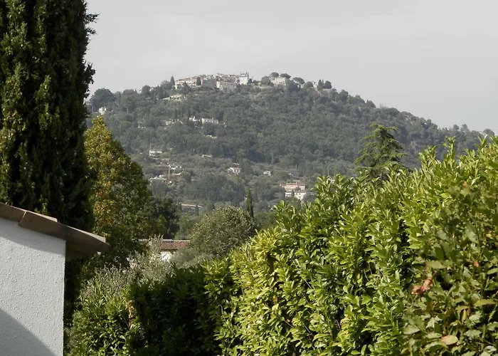 la pinède
