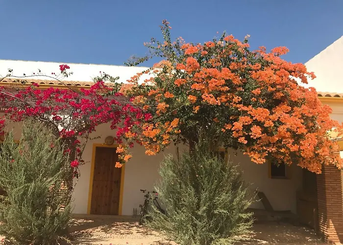 Las Gateras
