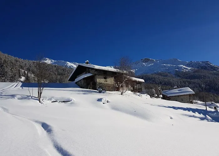 Arpege Des Neiges
