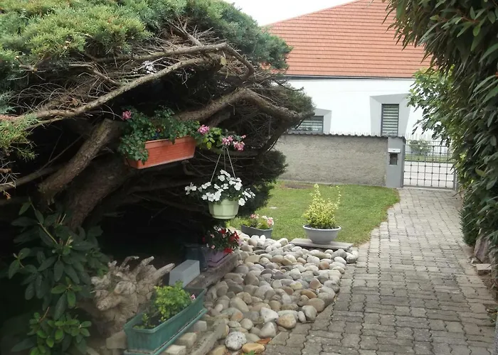 Eguisheim village préféré des français grand studio