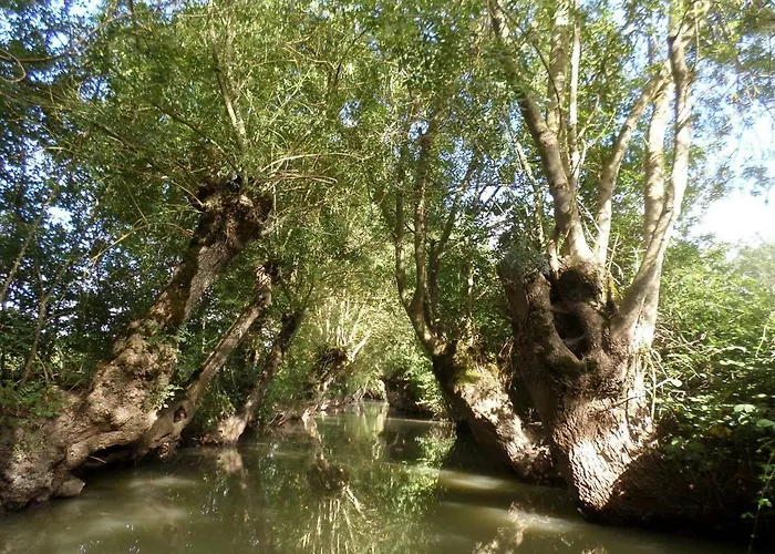 La Libellule