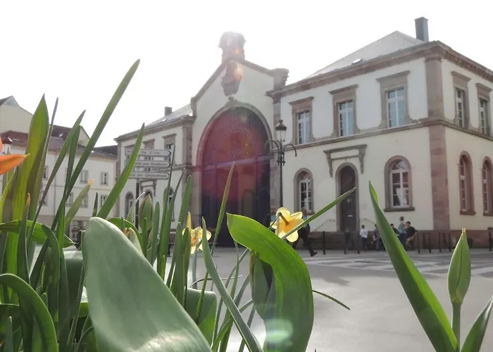 Appart'AZUR Haguenau - Centre Grand'Rue - Logements entiers pour voyageur pro