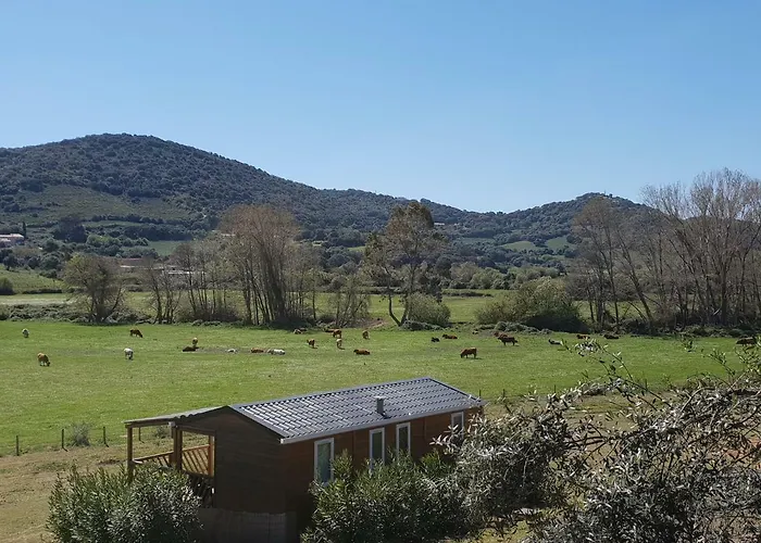 Ferme De Chiuni