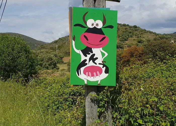 Ferme De Chiuni