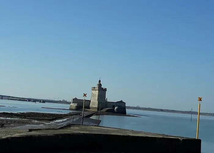 L'étoile de mer