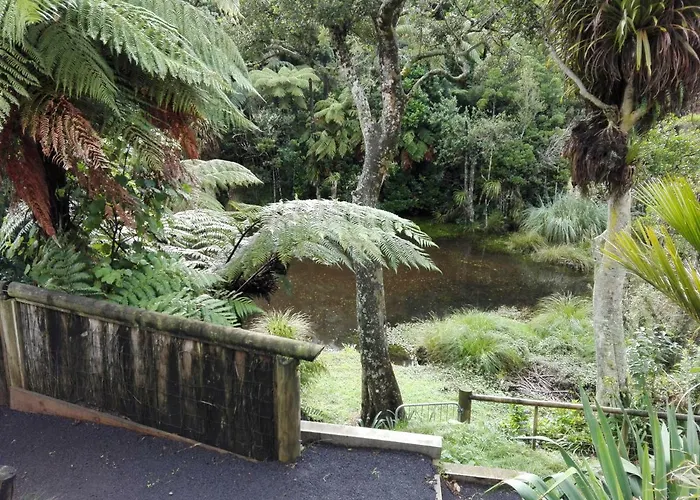 Taranaki Experience