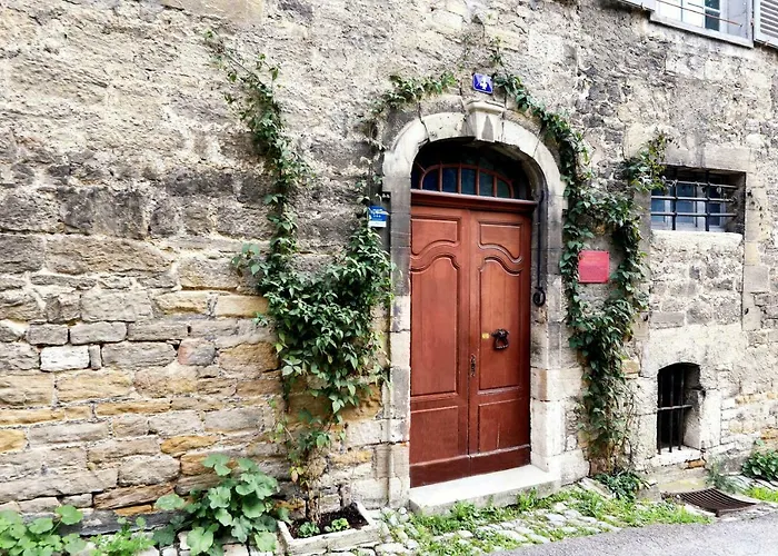 L'Aristoloche