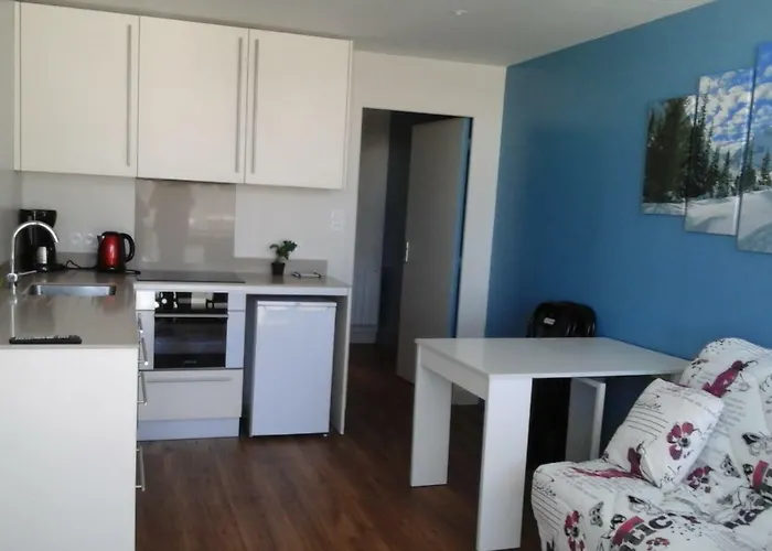 Appartement 250 mètres des pistes gourette