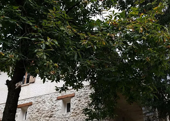 Villa Pura Vida