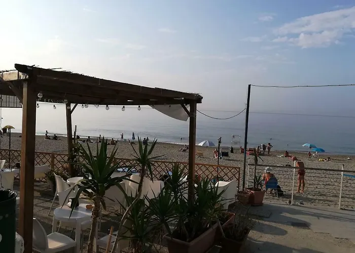 Violamare