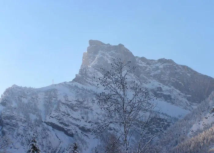 Chalet Narcisse