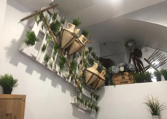 Boutique Luna De Gavín