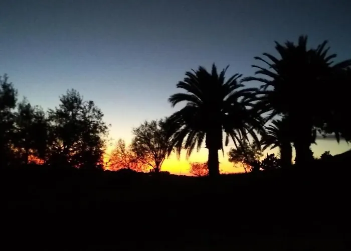 Hotel adatto agli animali: Agriturismo Il Poderino