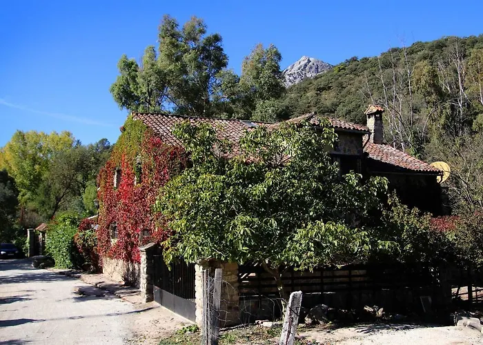  Molino Rodete