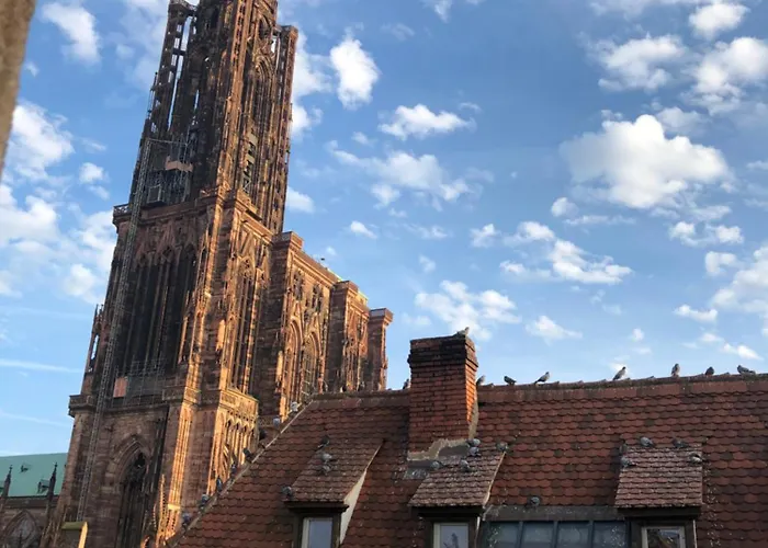 Carpe Diem Home Strasbourg