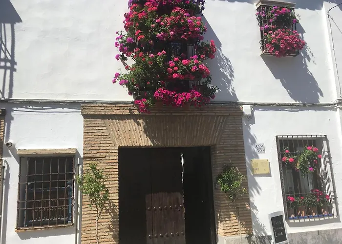 Perros hoteles Conde De Vallellano