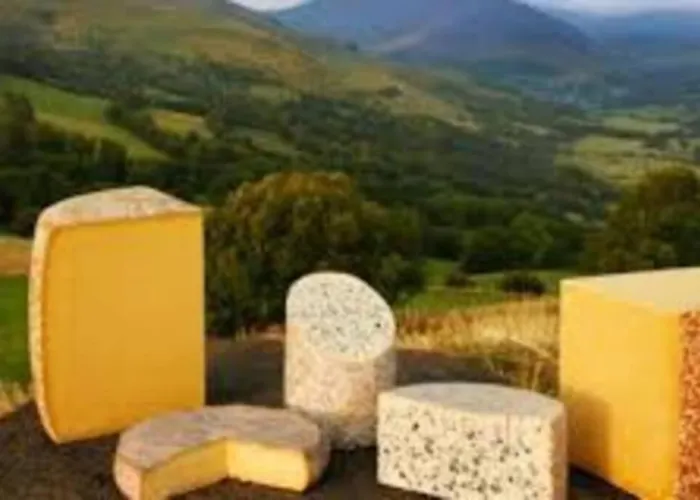 Joli appartement à Murat proche du Lioran Cantal