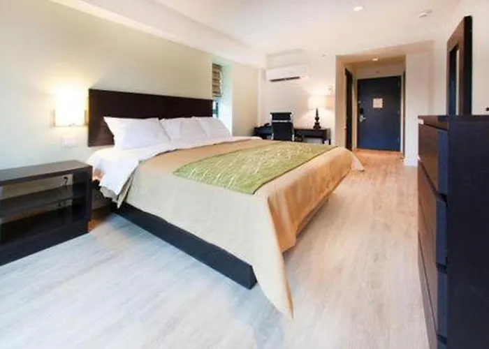 3 star hotels Comfort Inn & Suites - Kew Gardens Near La Guardia Airport