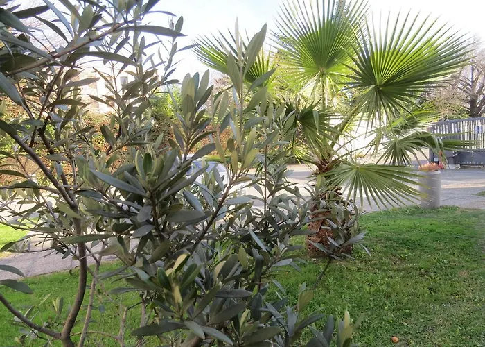 Hôtel avec vue: Hotel Kyriad Cap Sud