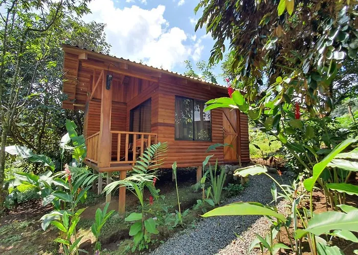 Trip to College Arenal Rustic