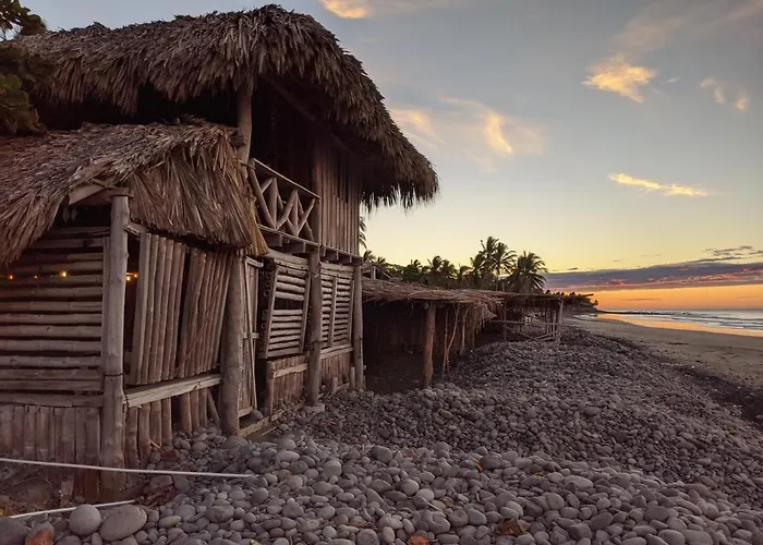 Pet Friendly hotel: Pelicano Surf Camp