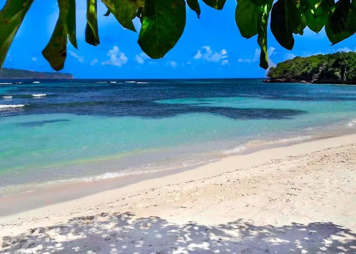 Jasmine La Playita - Ocean Front